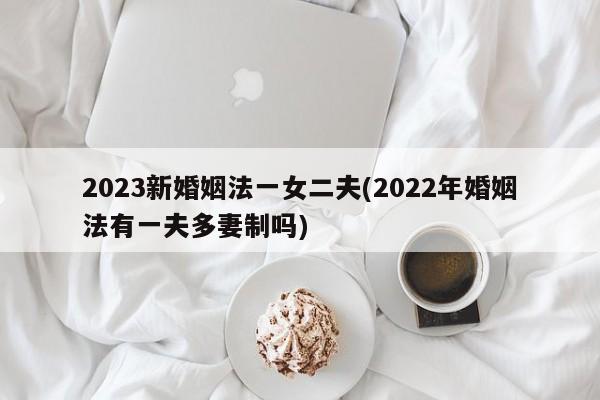 2023新婚姻法一女二夫(2022年婚姻法有一夫多妻制吗)